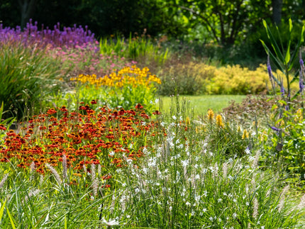 UK garden trends for 2026