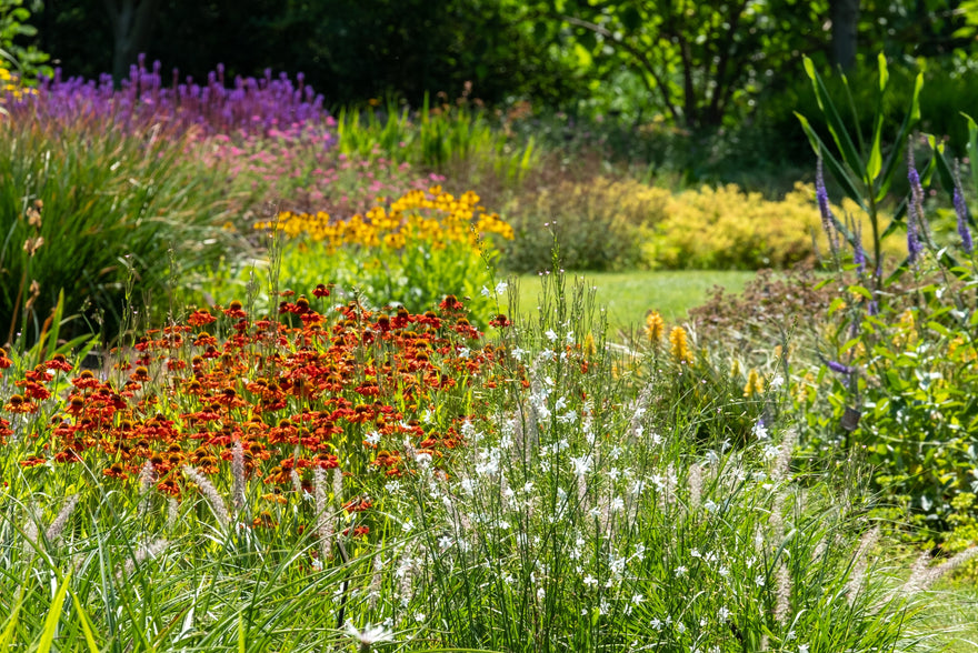 UK garden trends for 2026