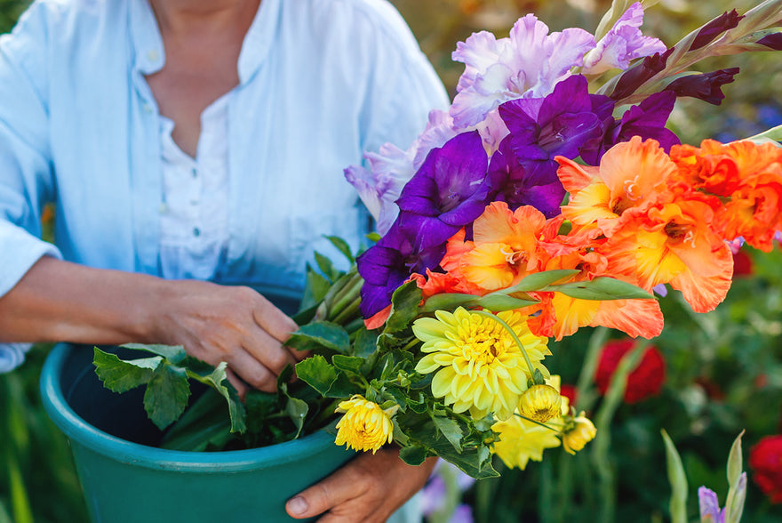 How to create your own cutting garden