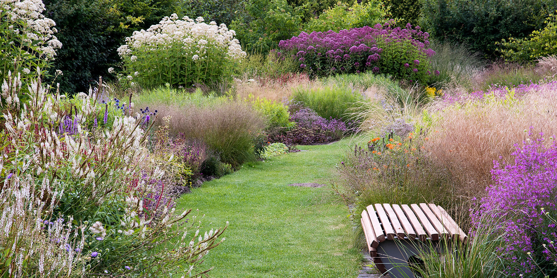 How to create your own Piet Oudolf planting plan  Farmer Gracy UK