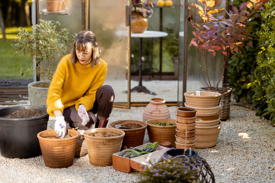 The undeniable benefits of flower bulbs for UK gardens