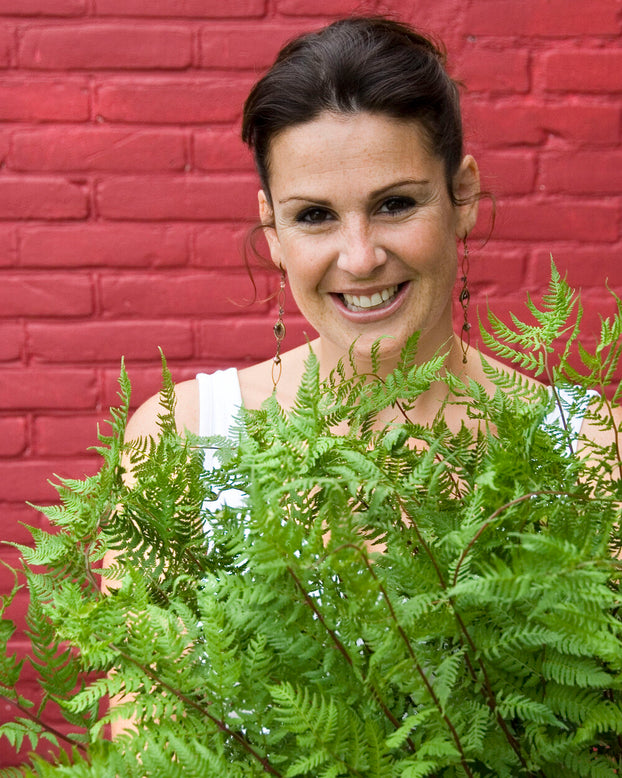 Athyrium 'Lady in Red'