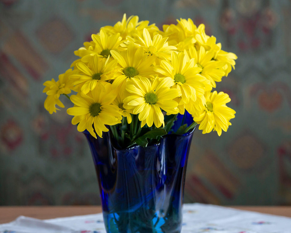 Heliopsis 'Loraine Sunshine'