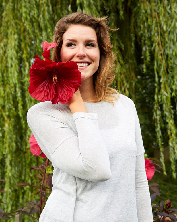 Hibiscus 'Carousel Geant Red'