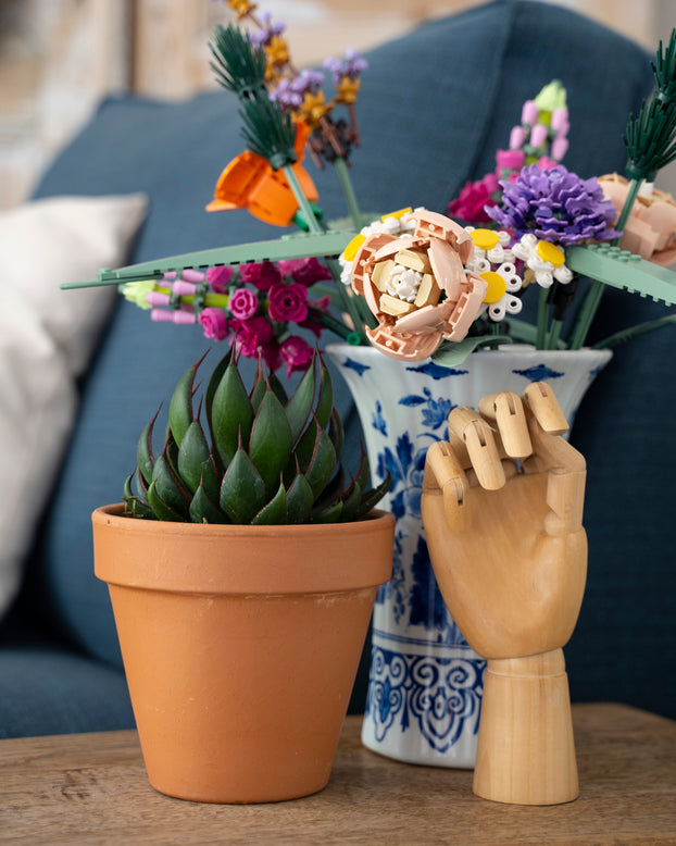 Mangave 'Praying Hands'