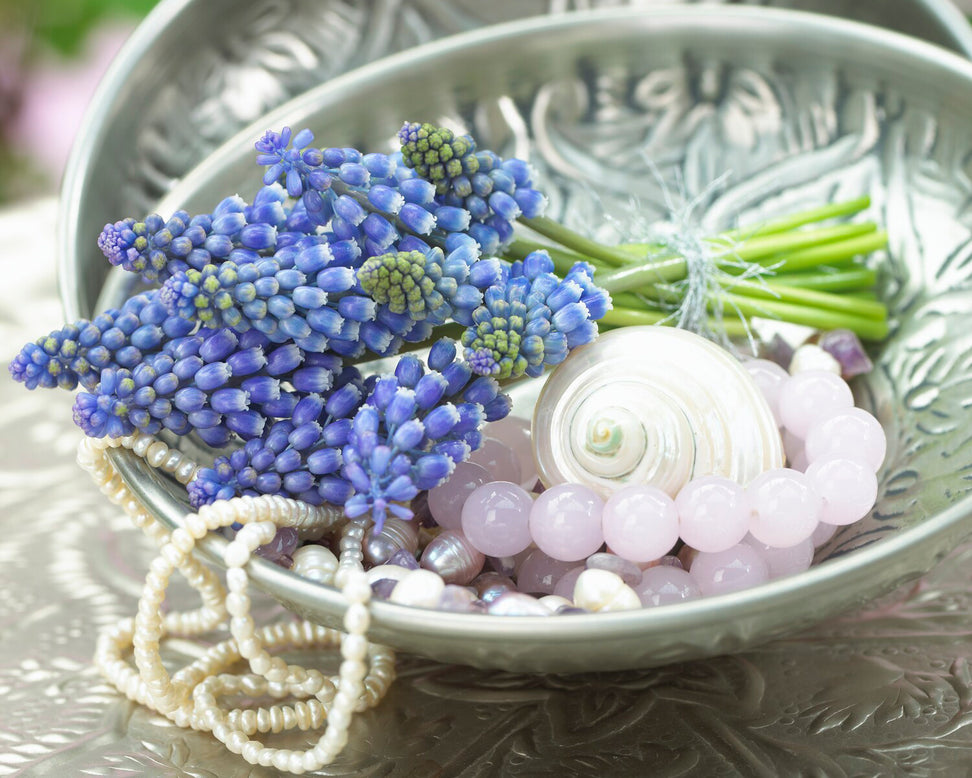 Muscari 'Bling Bling'