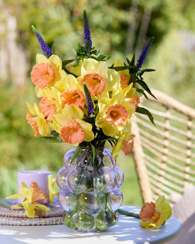 Narcissus 'Colour Magic'