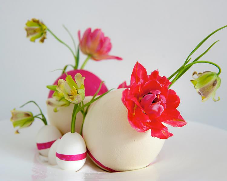 Fritillaria acmopetala