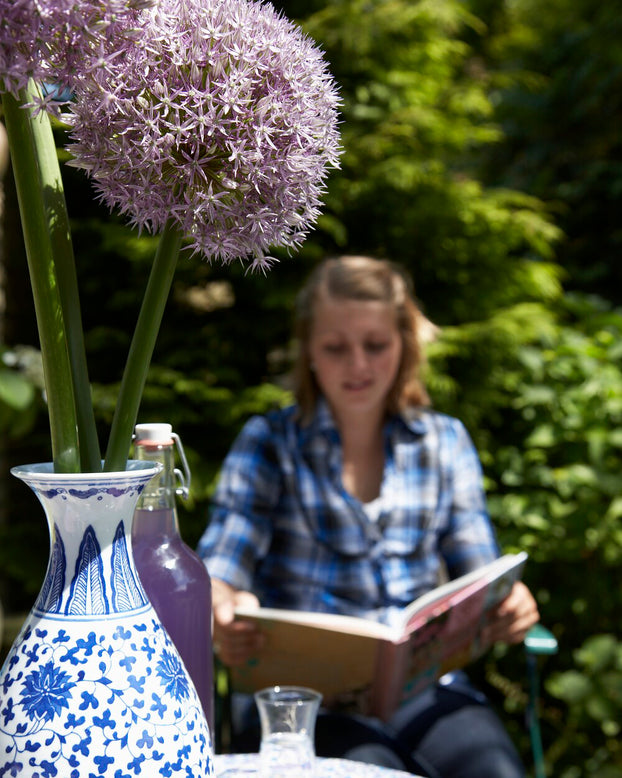 Allium 'Round 'n' Purple'