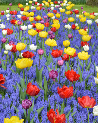 Collection 'Floating Doubles' Collection 'Floating Doubles'