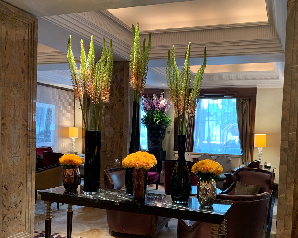 Eremurus 'Cleopatra'