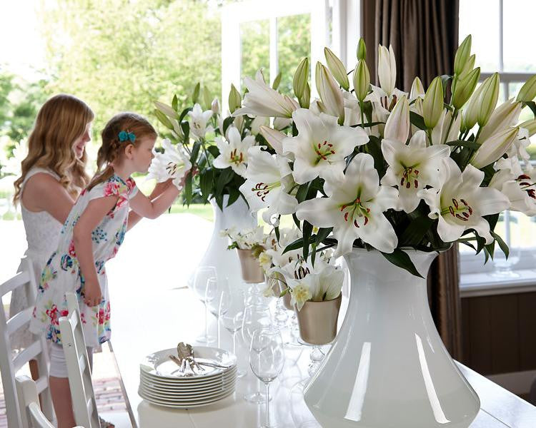 Lily 'Bright Diamond'