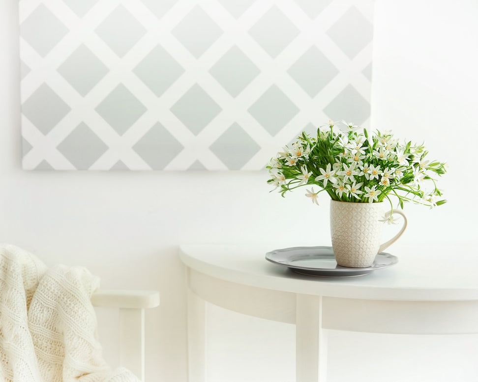 Ornithogalum umbellatum