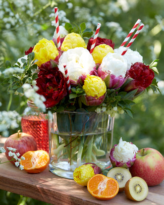 Tulip collection 'Sorbetto' Tulip collection 'Sorbetto'