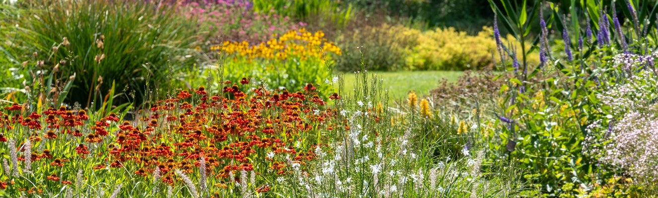 UK garden trends for 2026