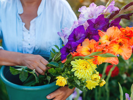 How to create your own cutting garden