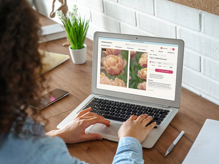 Buying bulbs and plants online — how to shop