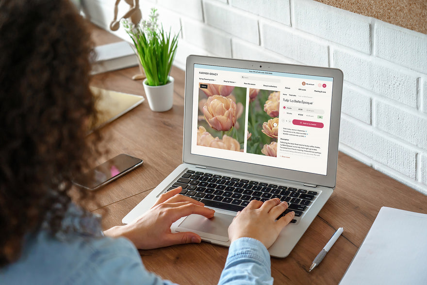 Buying bulbs and plants online — how to shop