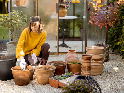 The undeniable benefits of flower bulbs for UK gardens
