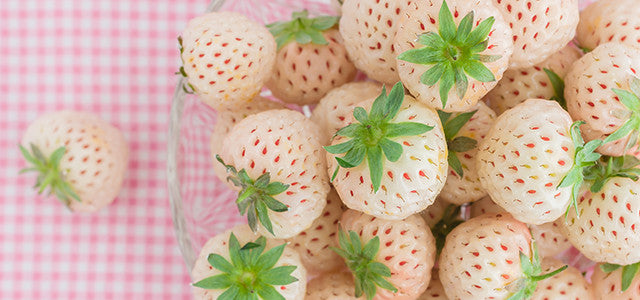 Garden to Table: Farmer Gracy’s Guide to Strawberries