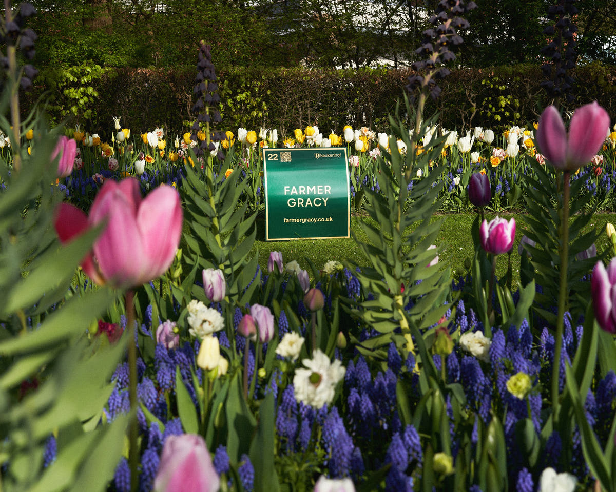 Our current Keukenhof selection