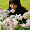Spring bulbs & plants