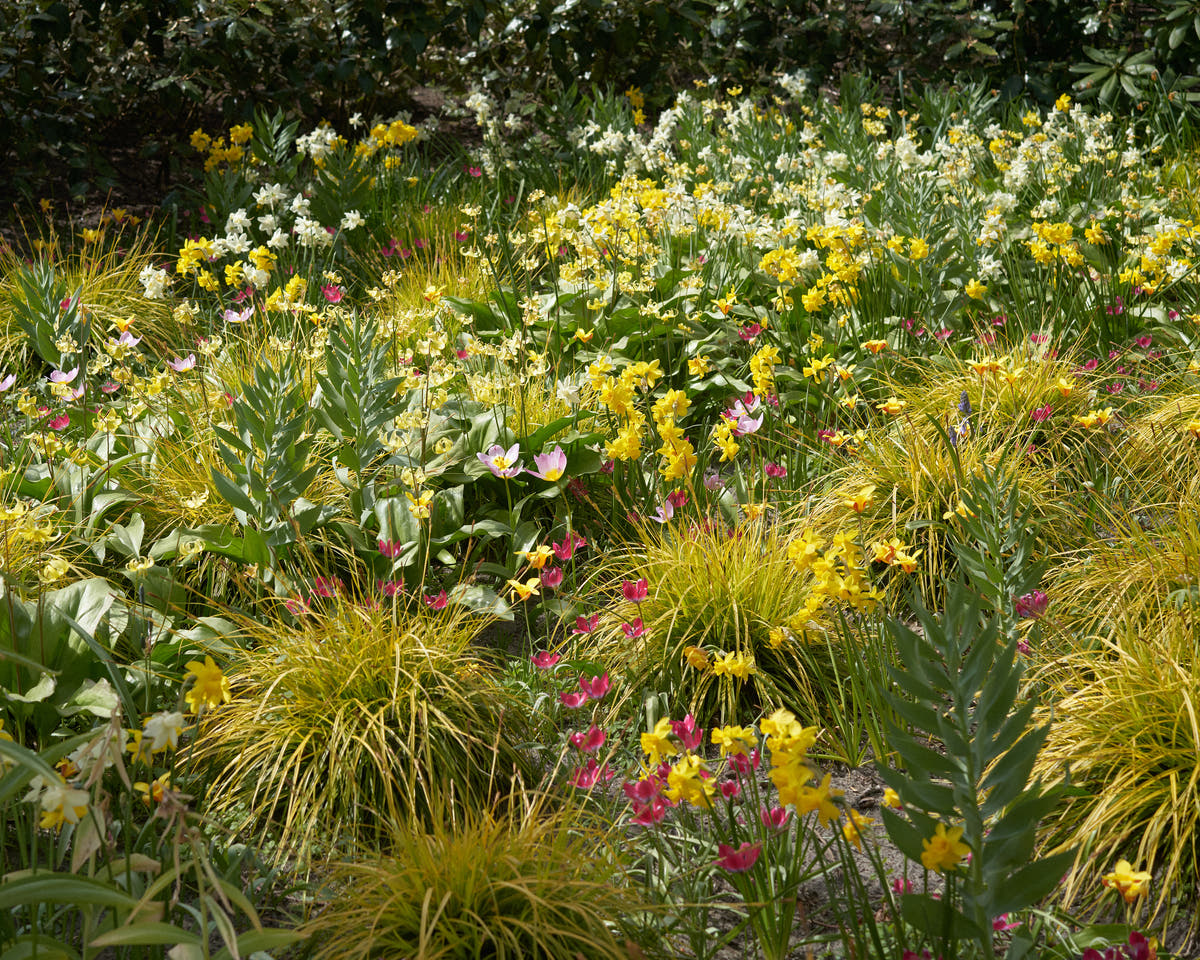 Naturalistic spring border