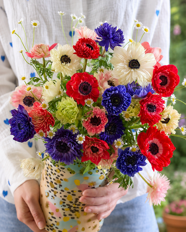 Anemone 'Riviera Mix'