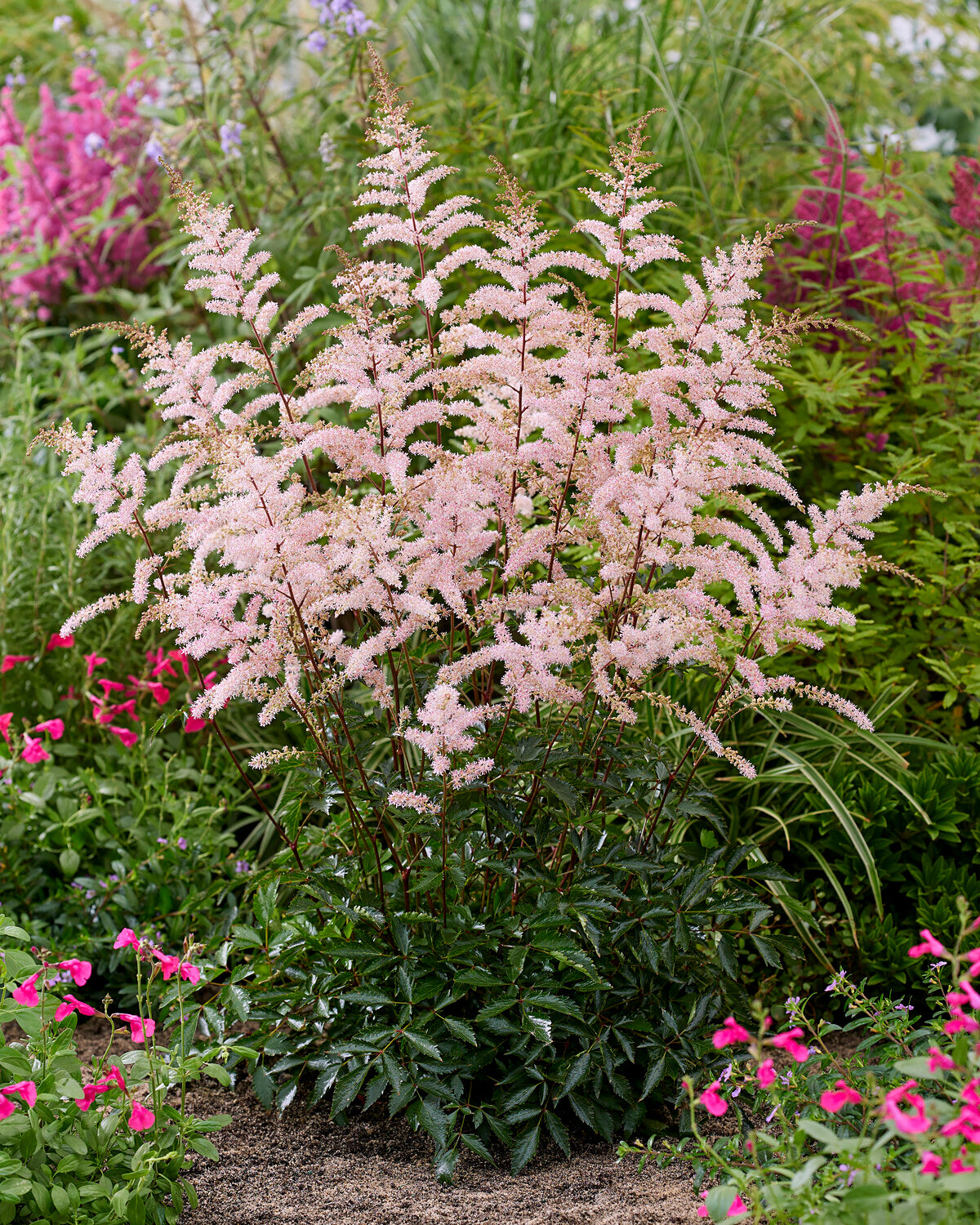 Pretty In Pink Uk
