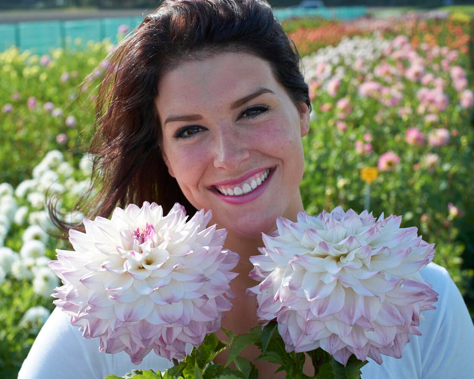 Dahlia 'Hapet Blue Eyes'