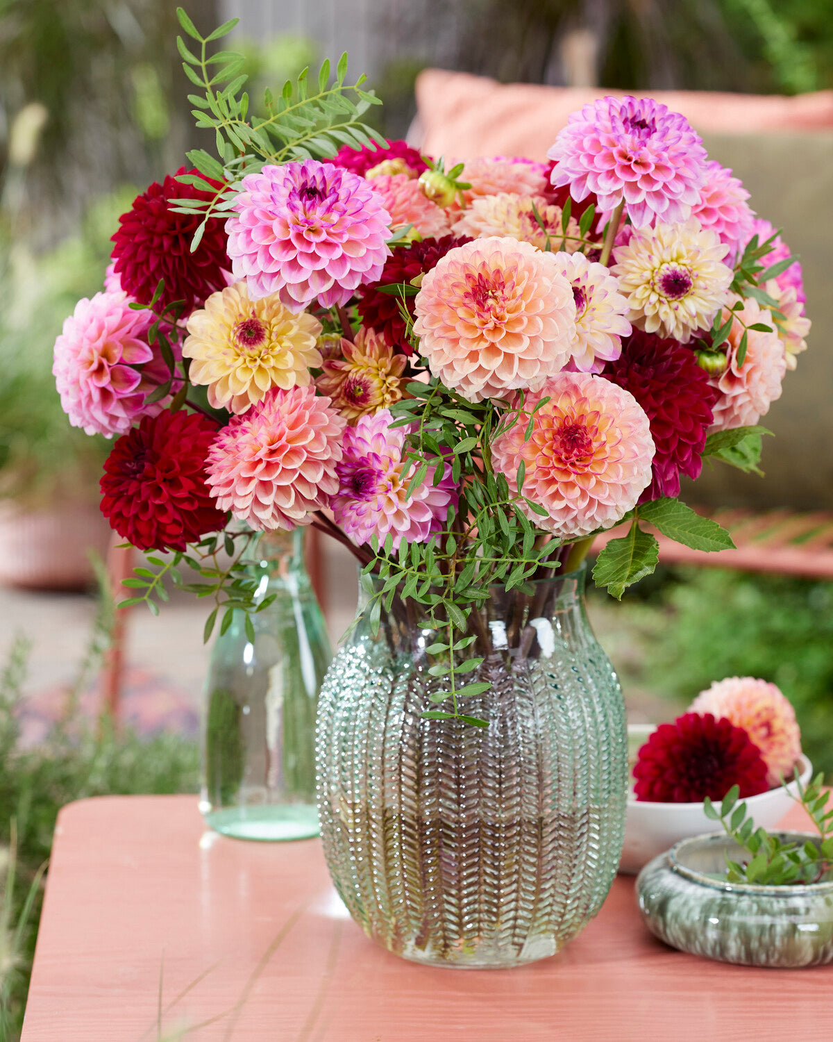 Dahlia 'Wine Eyed Jill' tubers — Buy online at Farmer Gracy UK