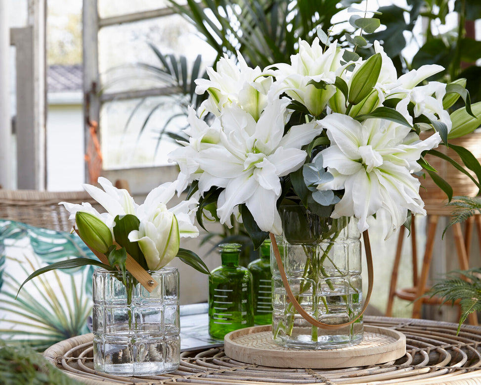 Lily 'Roselily Aisha'