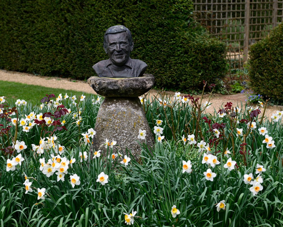 Narcissus 'Barrett Browning'