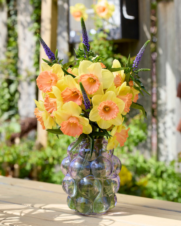Narcissus 'Colour Magic'