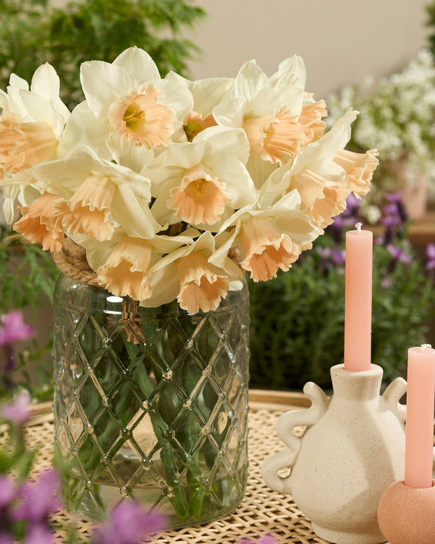 Narcissus 'Sweetest Dream'