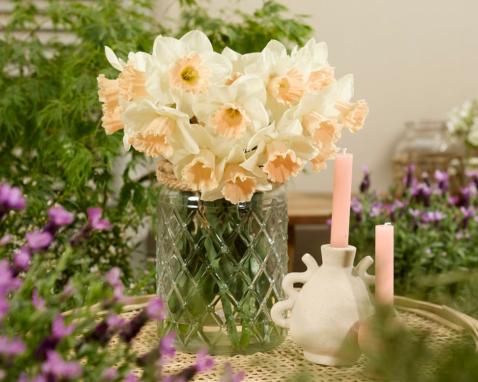 Narcissus 'Sweetest Dream'