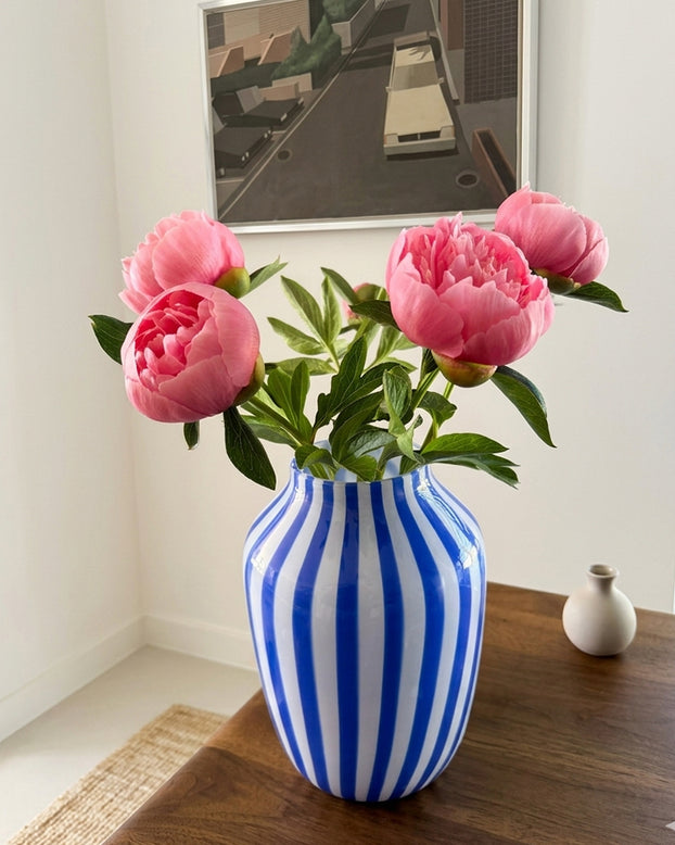 Paeonia 'Etched Salmon'