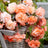 Trailing begonias