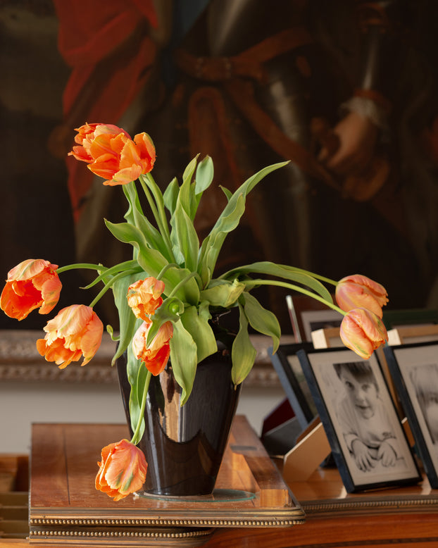 Tulip 'Avignon Parrot'