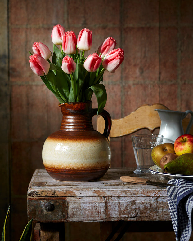 Tulip 'Lingerie'