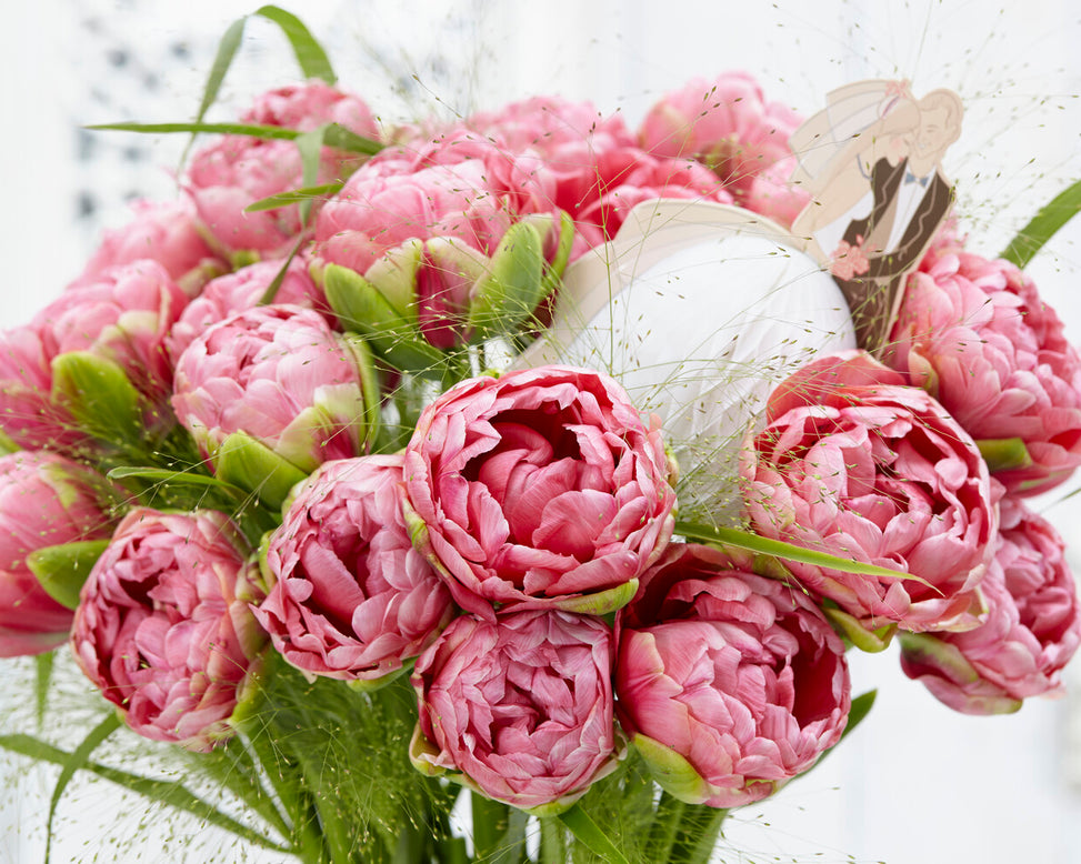 Tulip 'Wedding Gift'