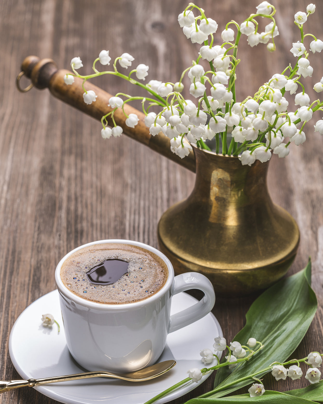 Convallaria forcing pips — Buy lilyofthevalley bulbs for forcing