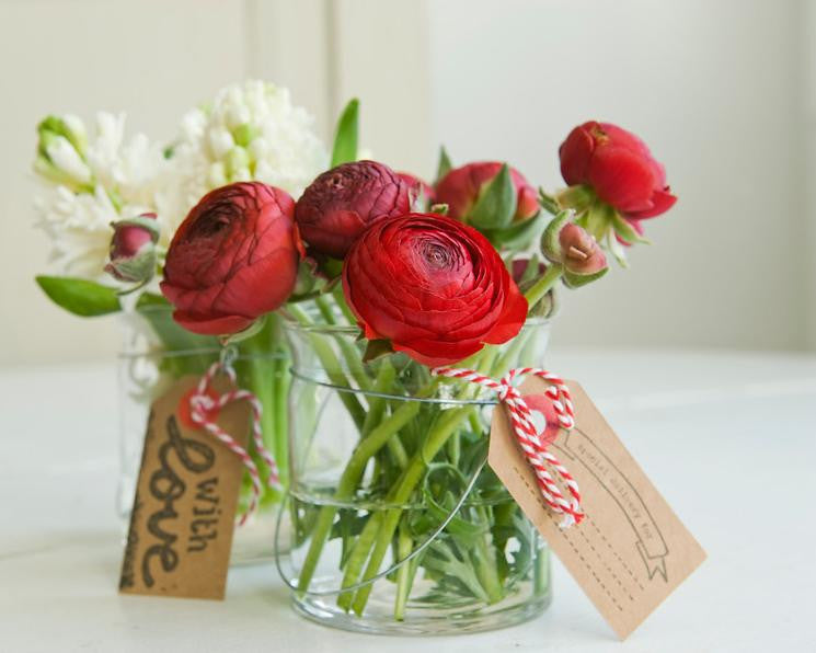 Ranunculus 'Red'