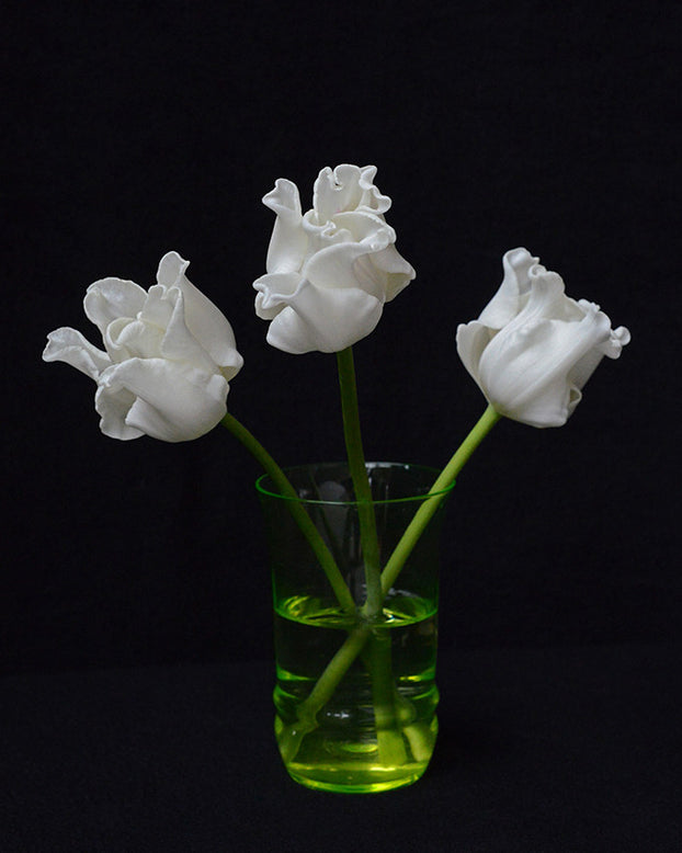 Tulip 'White Liberstar'